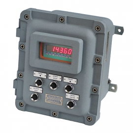 ADPE W200 – W200 Series Weight Indicator Into Explosion Proof Box