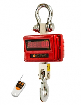 DTEM – Approved Crane Scale With Red Led Display